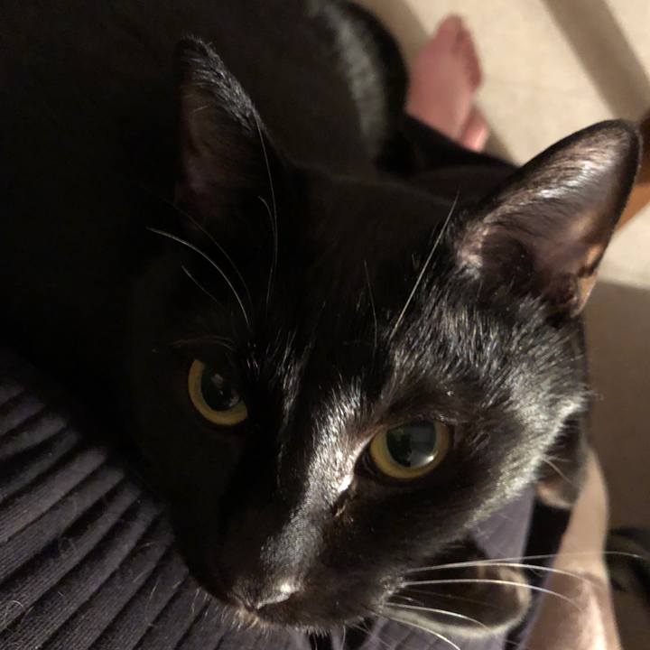 56662cf9 826e 4812 b733 7007d6f0deac 1676899939200