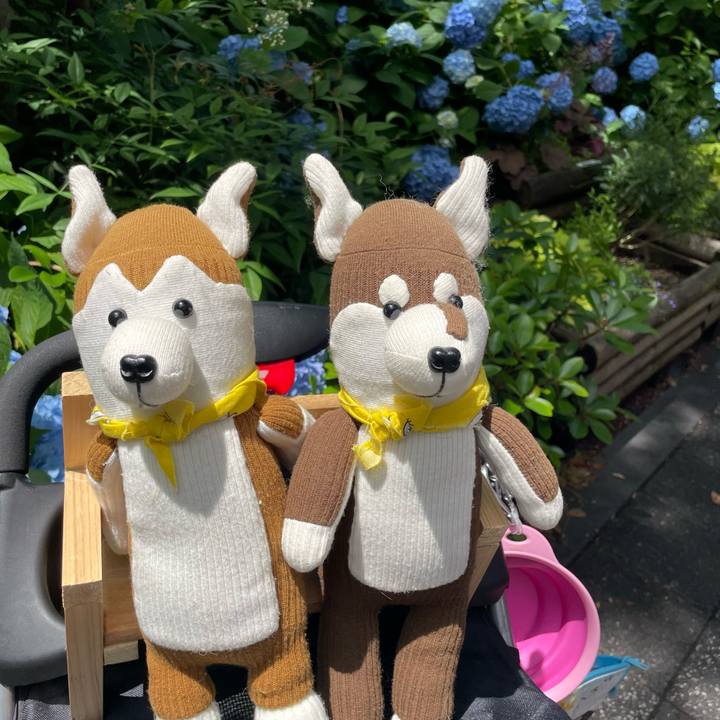 56667b75 b092 4123 bdad 9e3382340d88 1685784913477