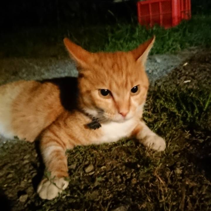 566680df 54cc 4fd5 ba0f 580ddb5521bc 1566043946428