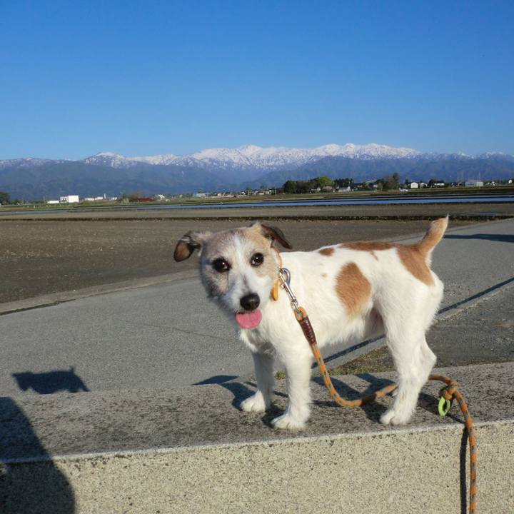 56668cf8 095d 4cc8 a7e6 2b7cff03f242 1556790762379