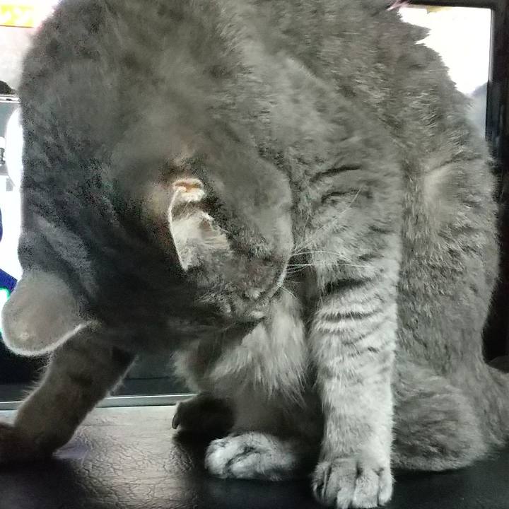 5666b57b b106 4931 b7c4 3c45f5973870 1663674659814