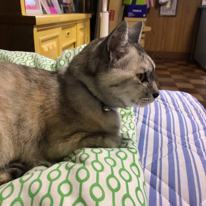 5666c218 9c22 4230 b900 f247c961e4e9 1595498726154