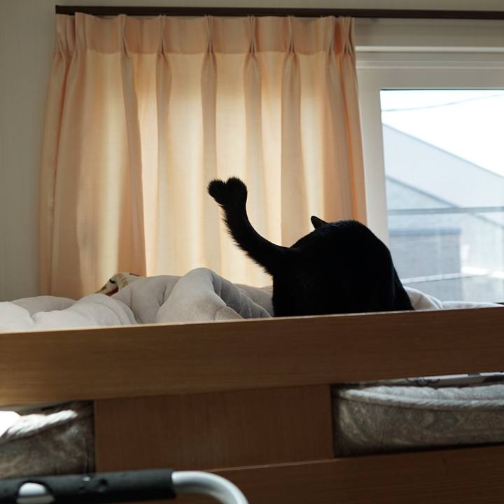 5666d36e 3f44 4428 aa34 dc57cbcbce8e 1560391660769