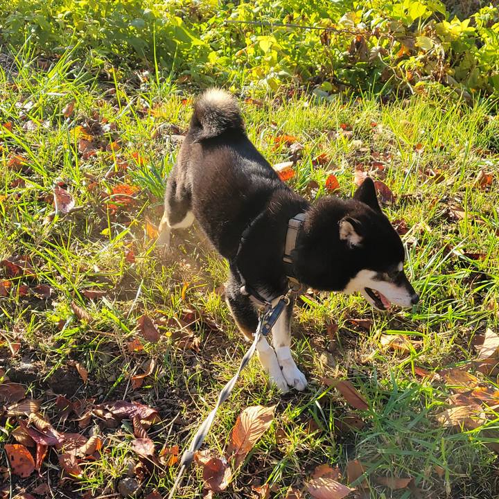 56670128 30e9 4402 8659 9fbc9d76066c 1764371015765