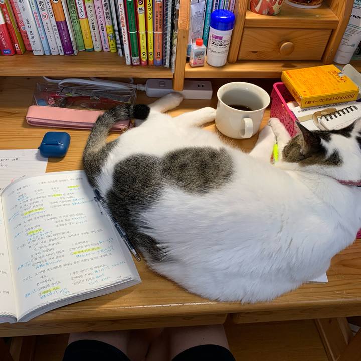 56670dfe 34d7 4c69 ad2d 6a6bbaaba7b8 1633815654706