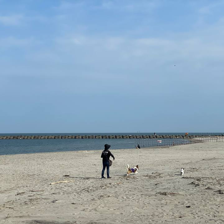 5667301a c5ad 43b2 acb9 cf64f52222d7 1716507274468