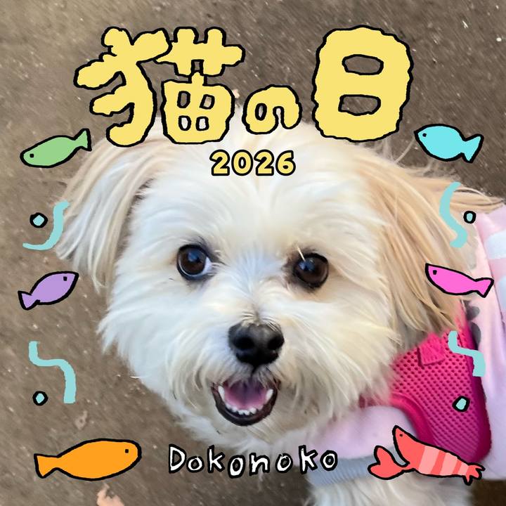 566735c7 6755 4a29 b469 6e9b1202b7bf 1771754826919