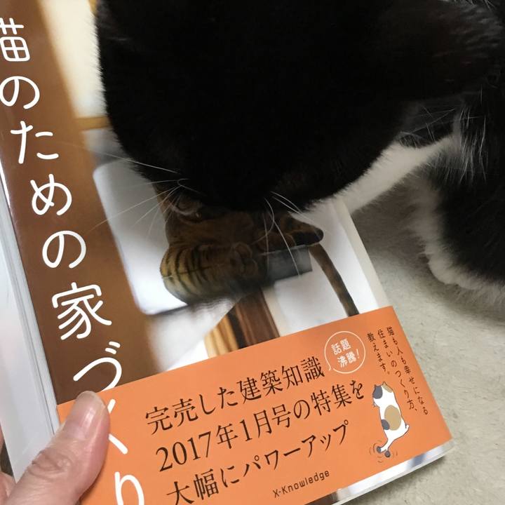 566741a7 6c19 4366 bee5 ead316905afa 1508089210507