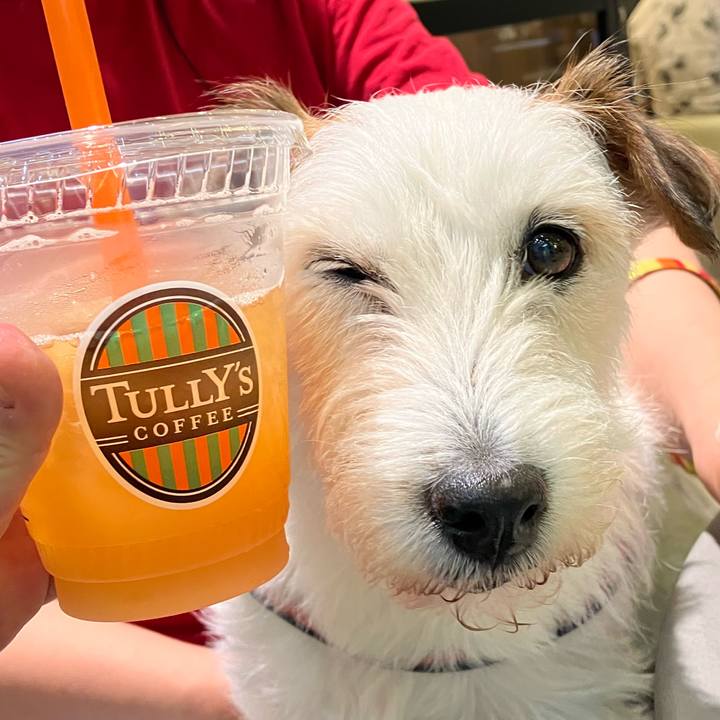 5667884d 35c3 4ece 9f07 5831c07afec1 1686098247199