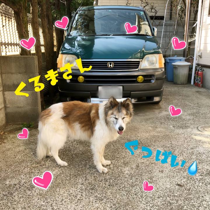 5667af4f 2547 40e9 81ae b43c9d390ac9 1521859715467