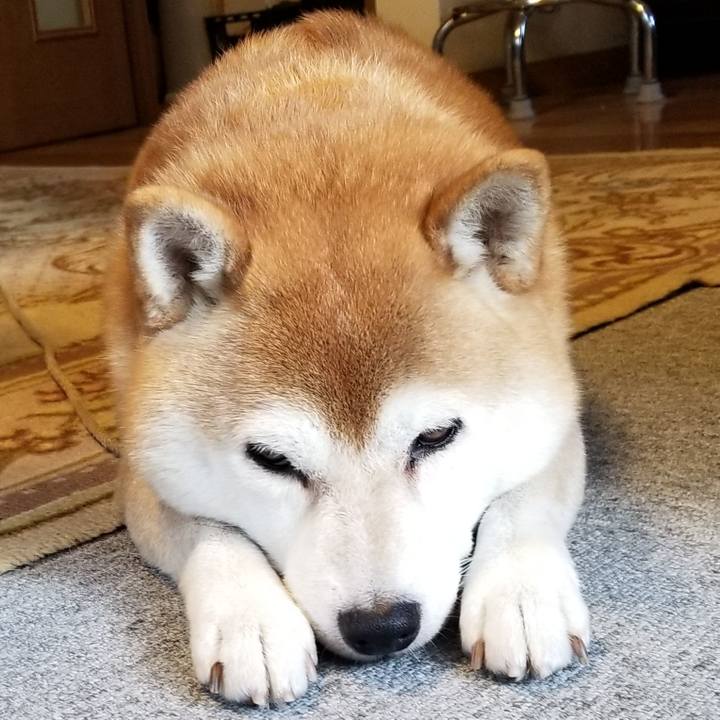 5667bfc8 3efc 422b 92ed 6ee792bc54a1 1570577597483