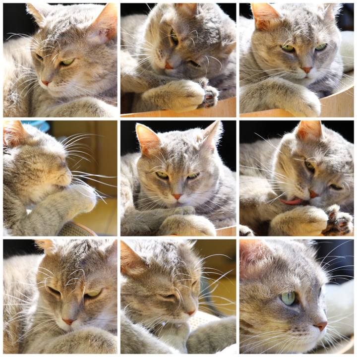 5667e086 86fd 45e4 a004 b1d49bc6f180 1693367457017