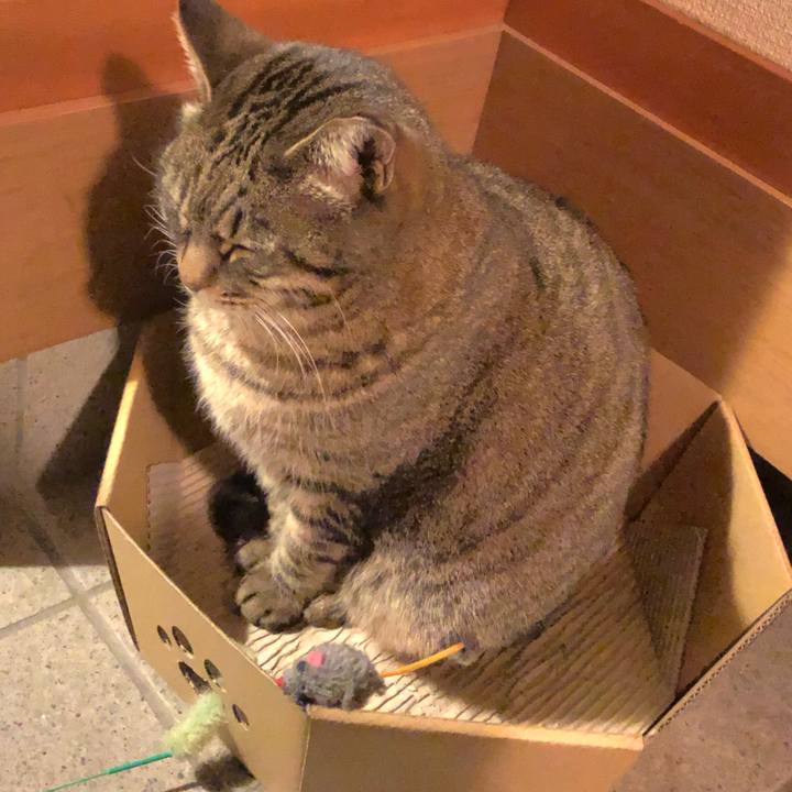 5667f401 715a 4d9f ad9f fb35827d87ad 1547077146984