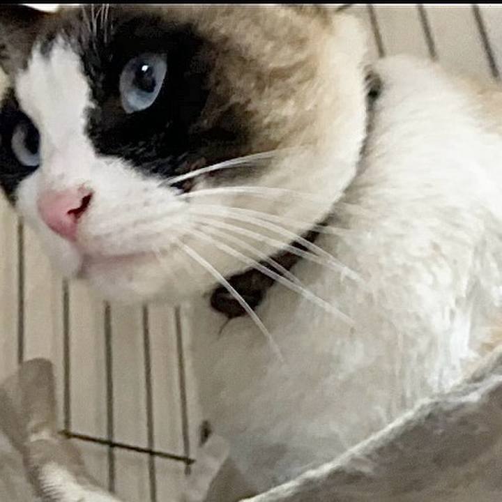 566810e0 147d 41e9 b8df 40ee28e299e0 1743422904645