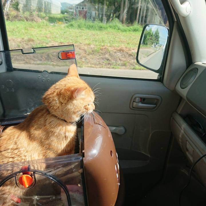 566810ed 57bc 48f8 99c9 7cc8cd54089e 1657328422874