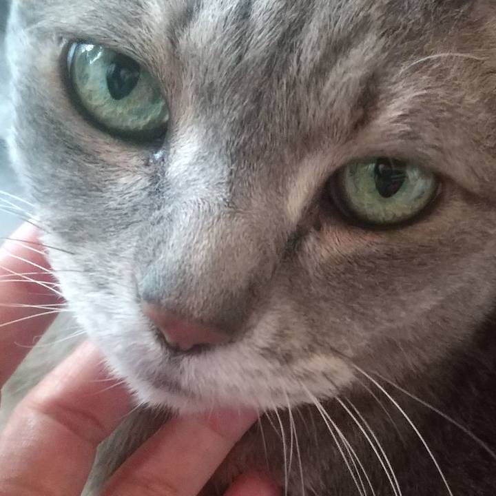 56684337 48d5 4aec 8a65 ae953515ba55 1620436476818