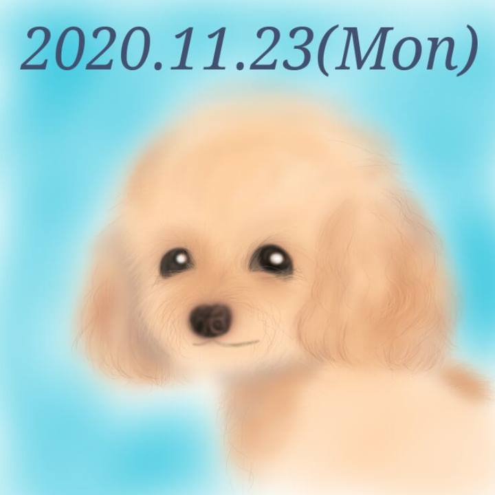 5668456a 6bb8 44d3 8b8c 7096a77529c1 1606093778246