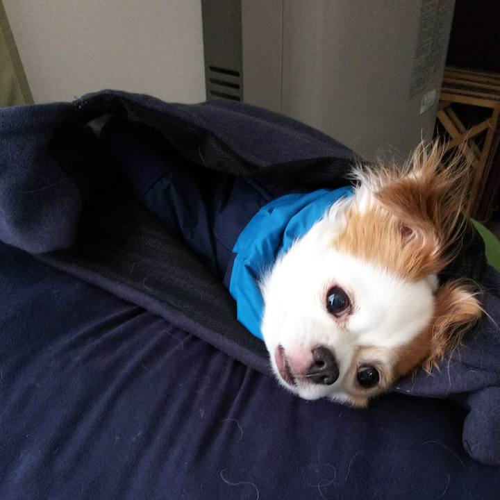 56686cf2 560b 4abc 8963 dab861def81e 1517118683541