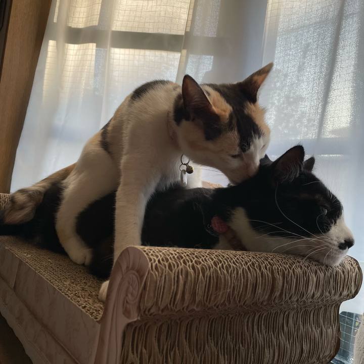 5668704c c12c 46ae 96da 29b7a7fa239d 1678141469488