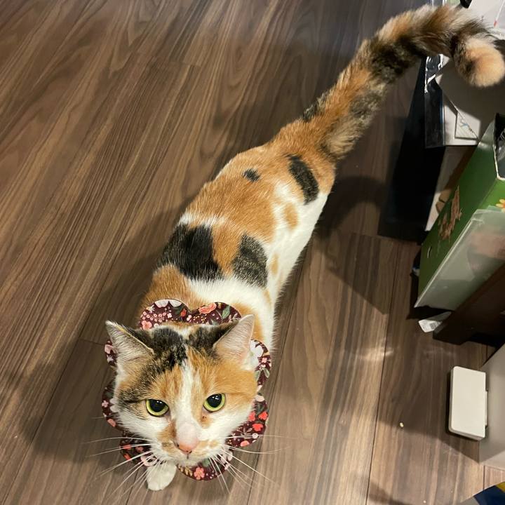 566875d4 723f 4512 8692 6881dd108d1c 1734789256156