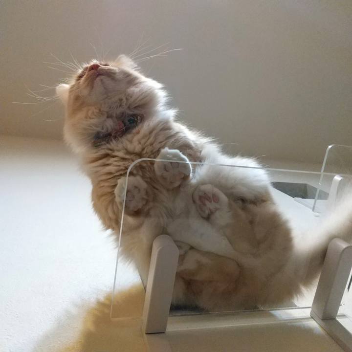 5668b5ae b66d 4994 9807 0d9fe1f51d14 1646387850996