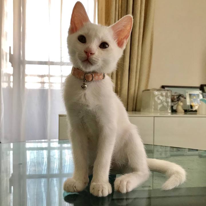 5668cbd6 1c0b 4b3f 98be ebda6ff27c54 1566815941293