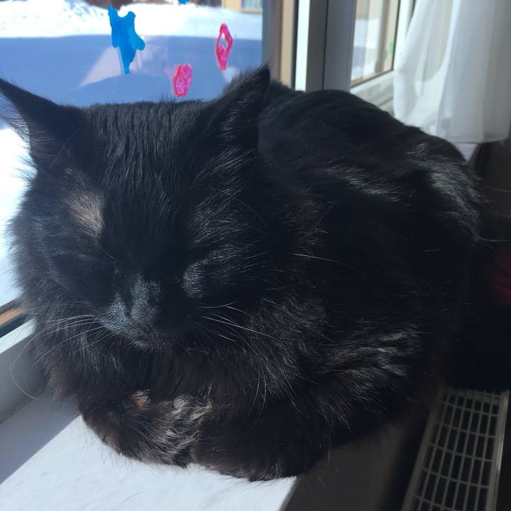 5668d3a5 0e00 41ad a967 269d470d4c67 1518920003307