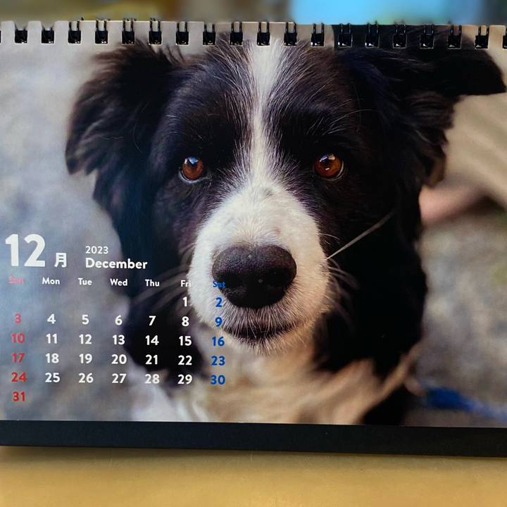 5668ef69 6f30 4728 970a 76fde4067205 1701381977153