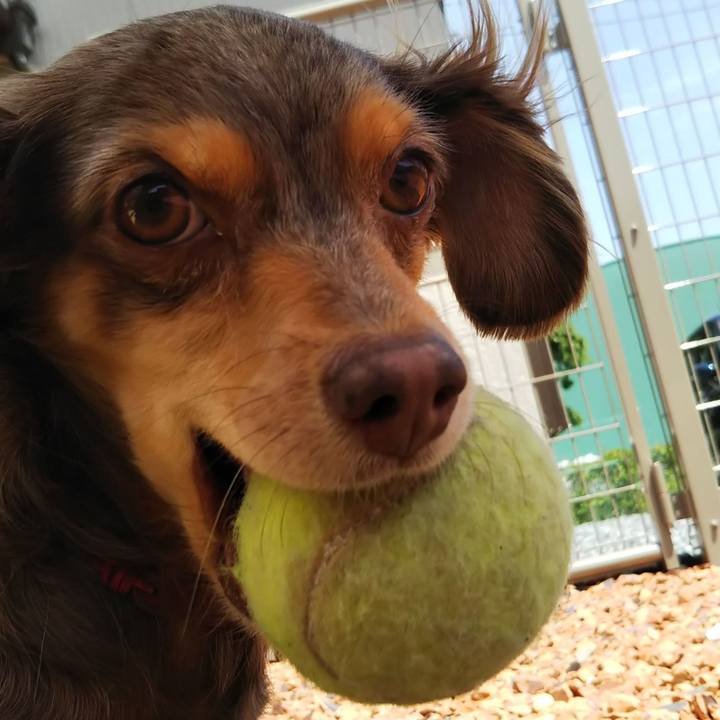 5668f8ed d2fb 4251 9d36 a047a10ceb98 1526109157503