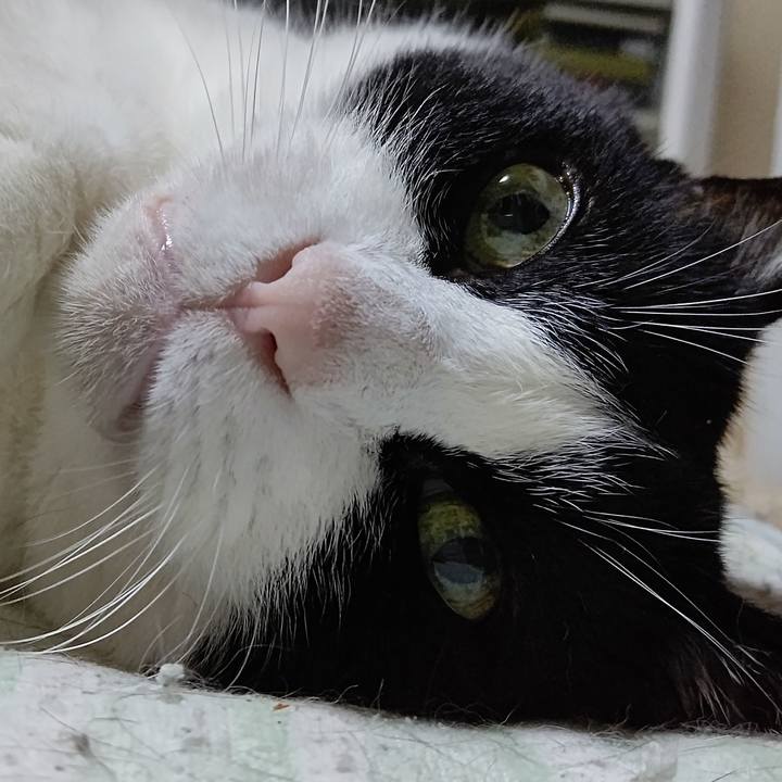 56693988 fbb9 46ee a6f5 a373e91fce73 1627433526194