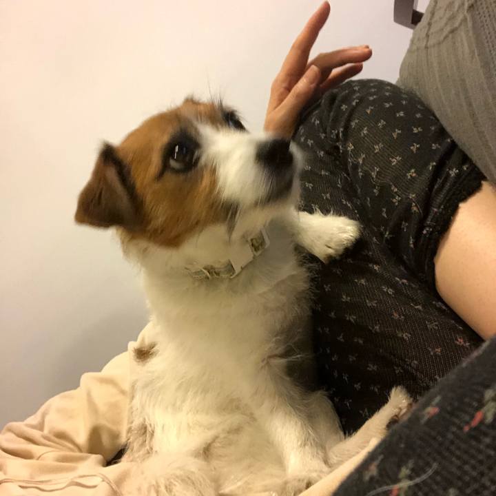 56698383 5e99 4333 9e5e 855df5c27470 1588343414014