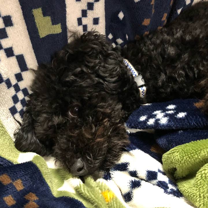 566985ed 5557 4726 bb1a 22b2d4f4333b 1520936822342