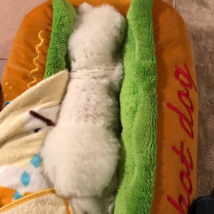 5669995a 3819 4946 967d 9f4ee1e66d11 1547733339331