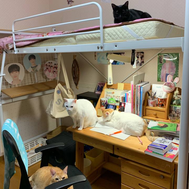 56699d2b 96b9 44e3 8bd6 abf1b0ca9ced 1555500840410