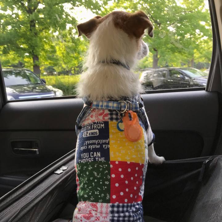 5669a383 97e5 4e10 912e e768228d570c 1561116104788