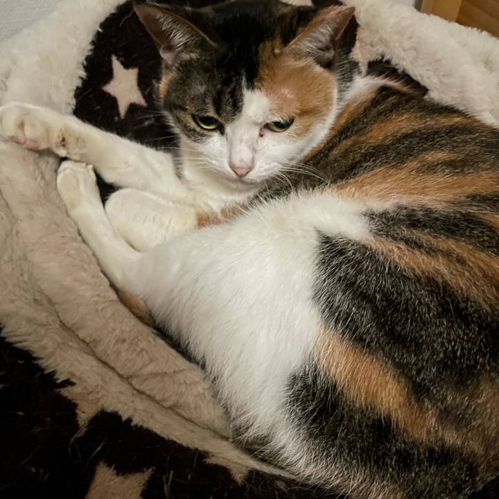 5669ad77 edcf 4c6c b4e3 88abdd949201 1668444741890