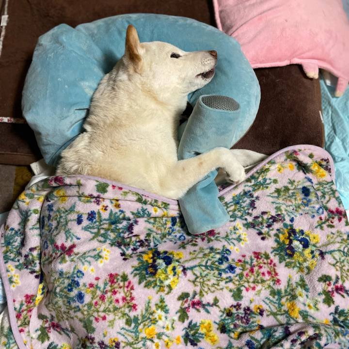 5669af5c 2f47 49ba bba4 0b47bc81b189 1646220571099