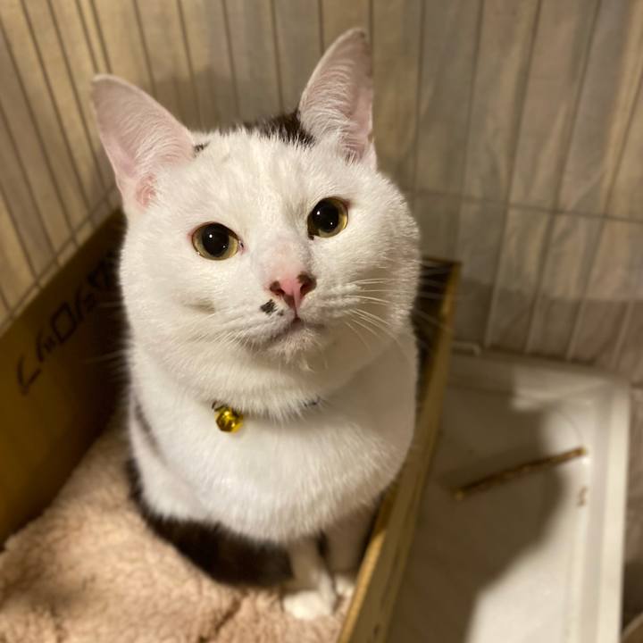 5669b1c1 8133 4c95 a01a d5ceb96c5cd8 1705914177694