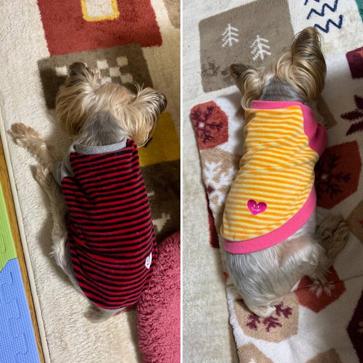 5669b813 192f 479c a033 23d68b50a8e0 1642413979553