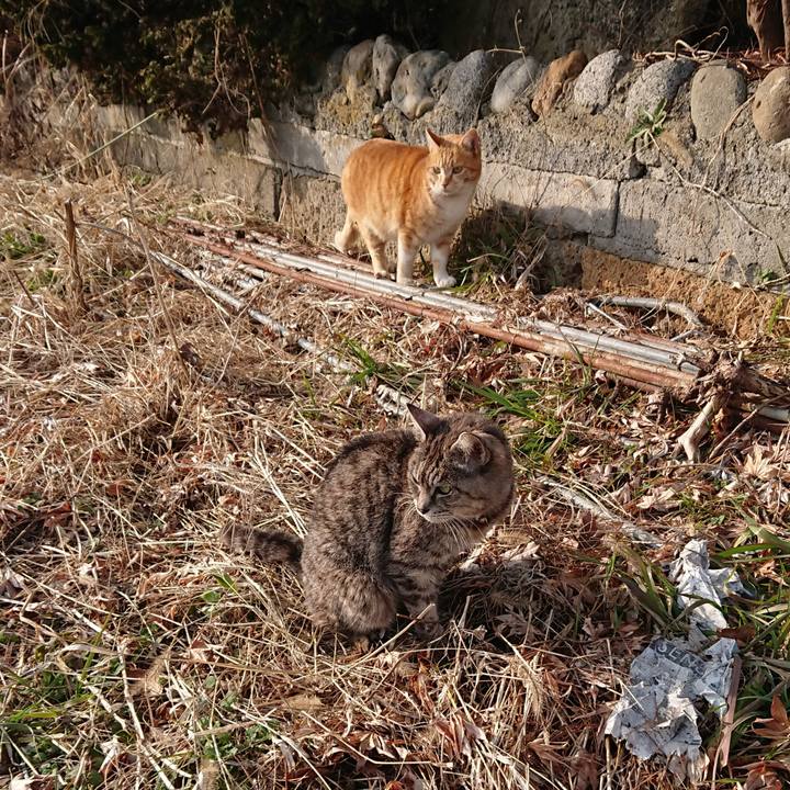 5669d9c7 97cd 40ec a081 a5697feaad86 1581749649373