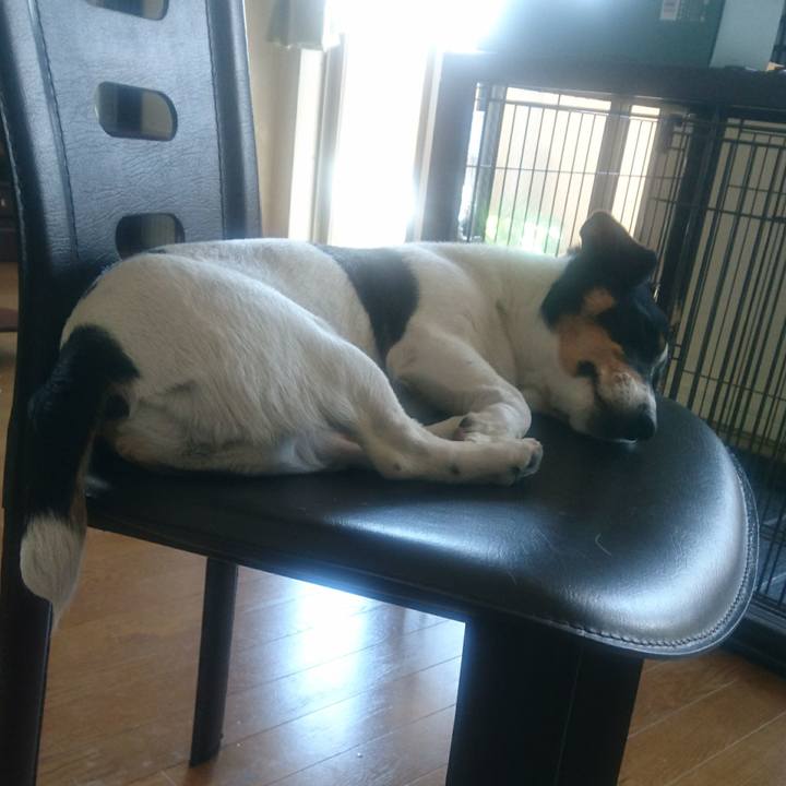 566a029c f979 40b5 b135 e0e5a3cd348d 1524708004111