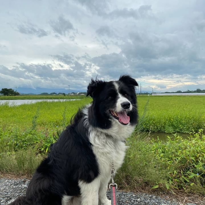 566a0894 234a 46e5 b970 808ca79a185b 1599354350414