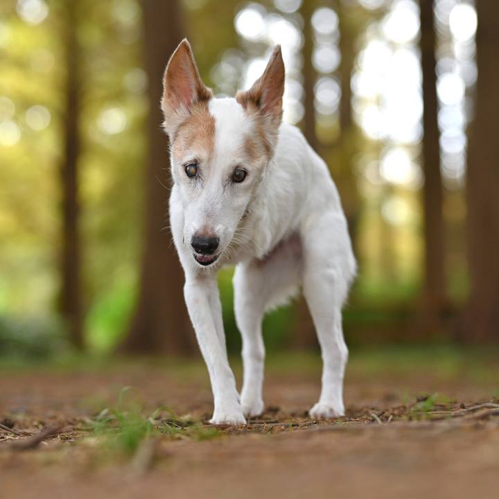 566a2705 4143 4d17 9292 3e161cbdf507 1759579079297