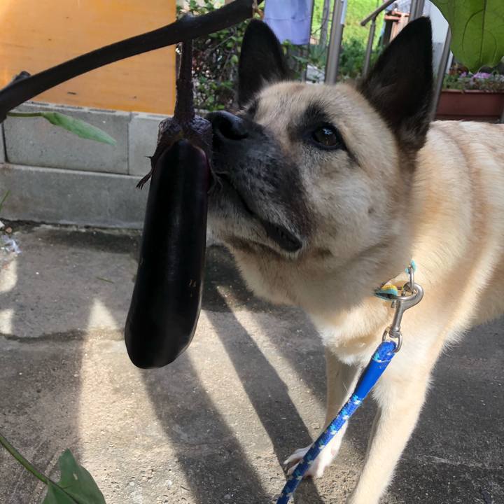 566a645e e4f6 4684 b091 ef85aa12b54d 1626520219384