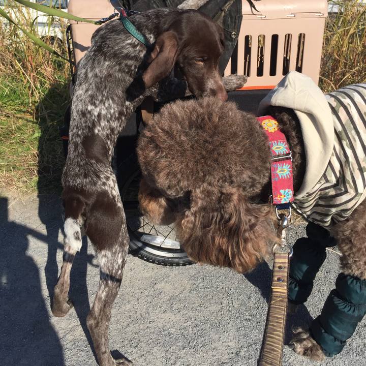 566a98e6 14d0 4f63 9d64 24e2328a0bfd 1511957546641