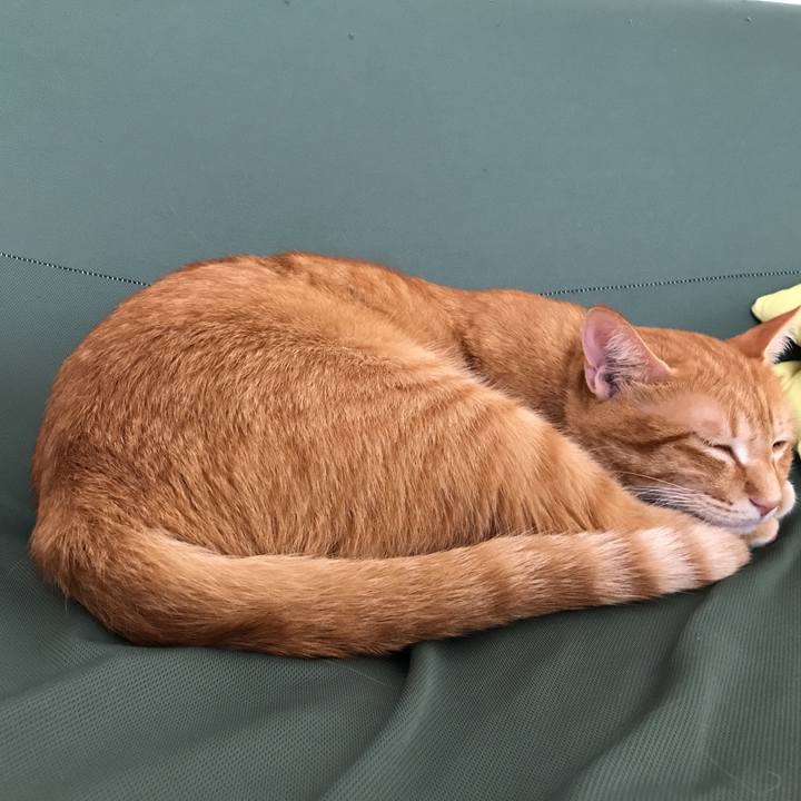 566ac0b8 29fa 4431 b097 eb4a8136db9b 1535094640808