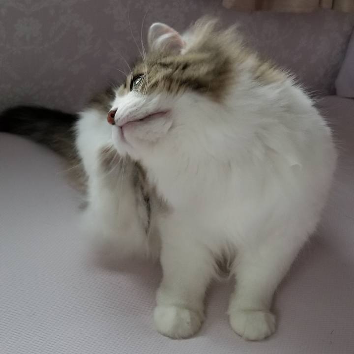 566acce9 8d0d 4d41 9b3d ac4d011a0ecb 1556314986952