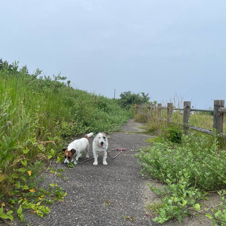 566ad8ef ff63 4cd9 9038 ba2d6d284f6f 1751582742997