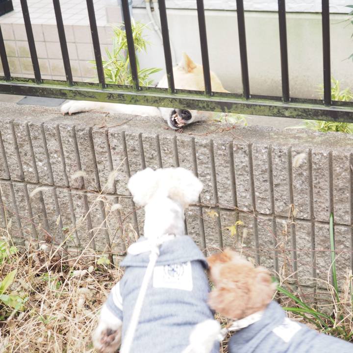 566adf66 0515 4845 8a8d bb57c13856bd 1580809902944