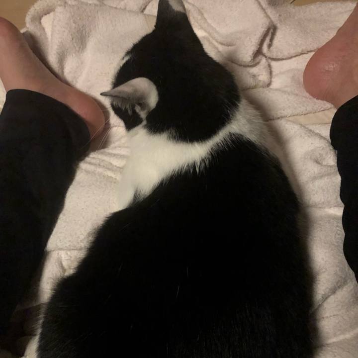 566b1651 6ccb 481b ac49 4b404ce43326 1599572684698